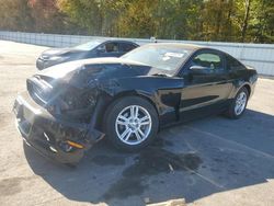 Salvage cars for sale at auction: 2013 Ford Mustang