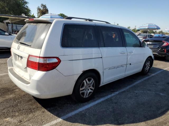 2006 Honda Odyssey EXL