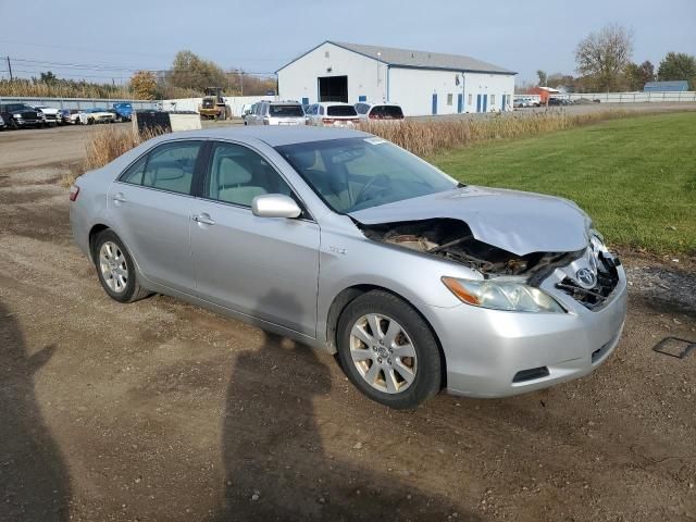 2009 Toyota Camry Hybrid