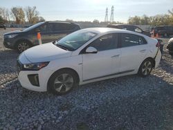 Hyundai salvage cars for sale: 2019 Hyundai Ioniq Limited