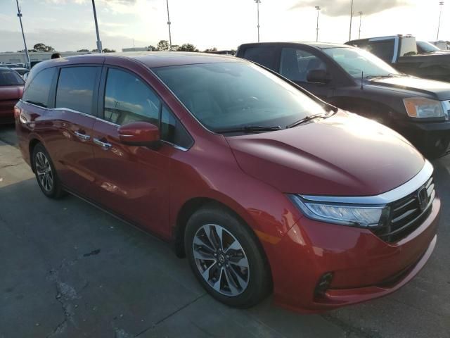 2023 Honda Odyssey EXL