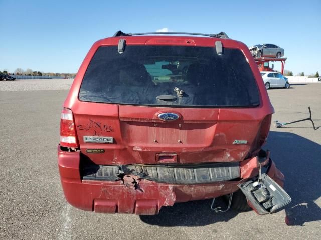 2012 Ford Escape XLT