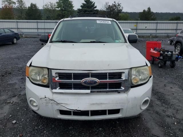 2008 Ford Escape XLT