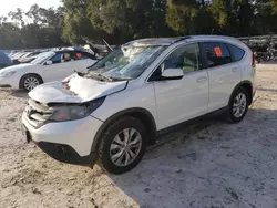 Salvage cars for sale at Ocala, FL auction: 2013 Honda CR-V EXL