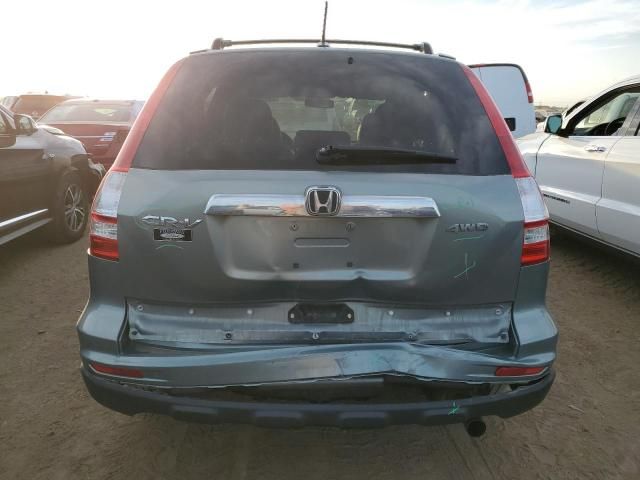 2010 Honda CR-V EXL