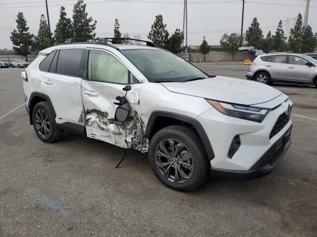 2024 Toyota Rav4 XLE Premium