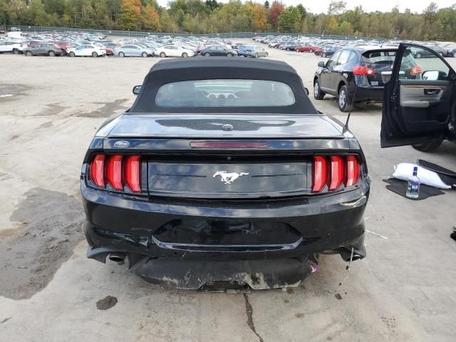 2019 Ford Mustang