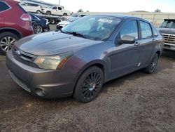 Salvage cars for sale at Albuquerque, NM auction: 2011 Ford Focus SES