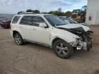 2009 Ford Escape Limited