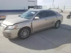 Salvage cars for sale at Farr West, UT auction: 2008 Toyota Camry CE