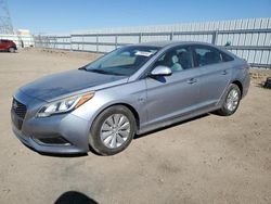 Salvage cars for sale at Adelanto, CA auction: 2016 Hyundai Sonata Hybrid