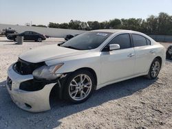 Nissan salvage cars for sale: 2014 Nissan Maxima S