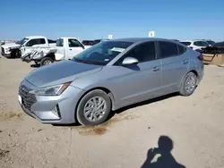 Salvage cars for sale at Amarillo, TX auction: 2020 Hyundai Elantra SE