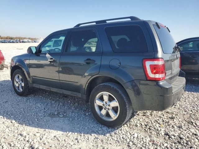 2009 Ford Escape XLT