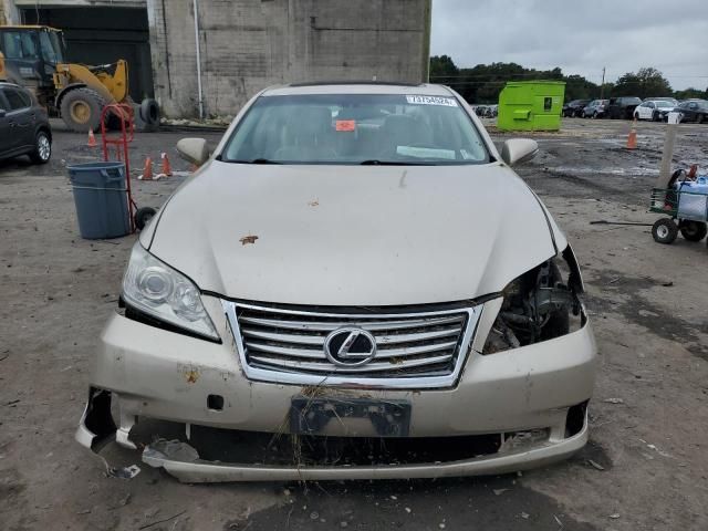 2010 Lexus ES 350