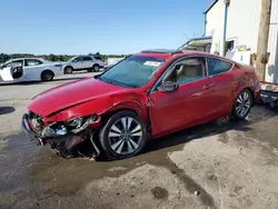 Salvage cars for sale at Memphis, TN auction: 2009 Honda Accord EXL