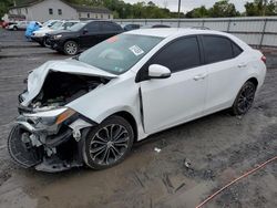 Salvage cars for sale at York Haven, PA auction: 2014 Toyota Corolla L