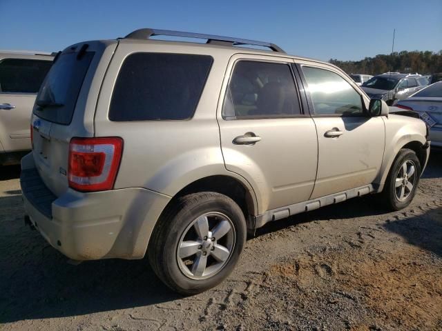 2012 Ford Escape Limited