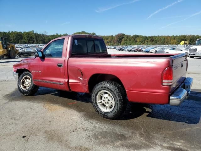 1999 Dodge Dakota