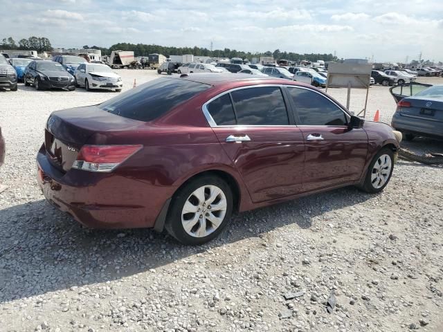 2008 Honda Accord EXL