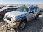 2005 Jeep Liberty Renegade