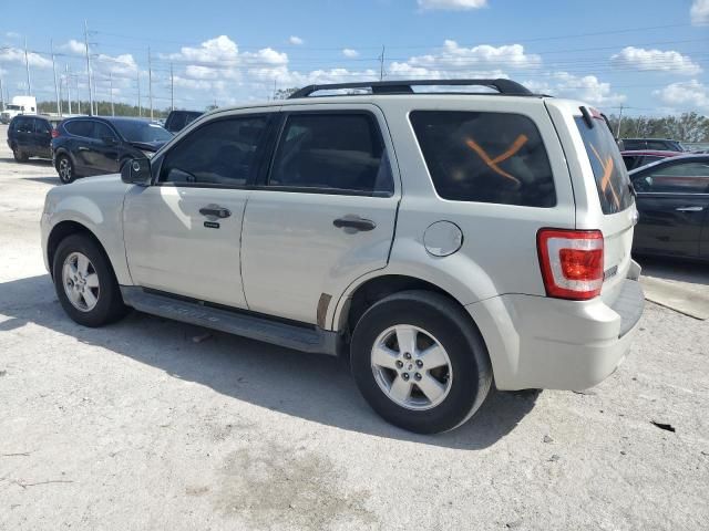 2009 Ford Escape XLT