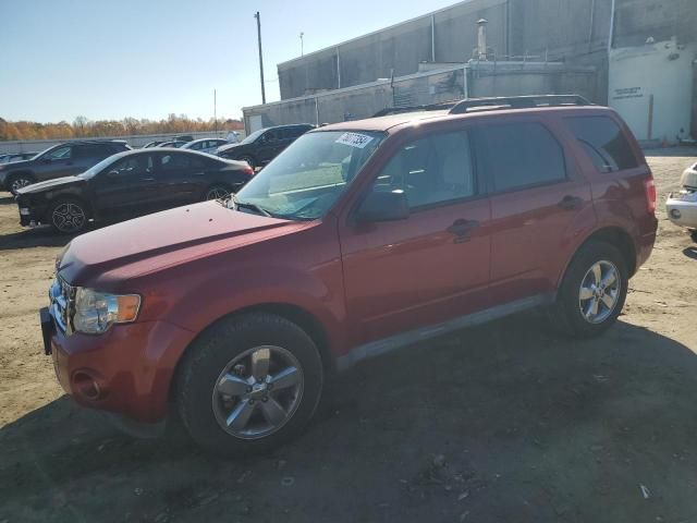 2012 Ford Escape XLT