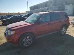 Salvage cars for sale at Fredericksburg, VA auction: 2012 Ford Escape XLT