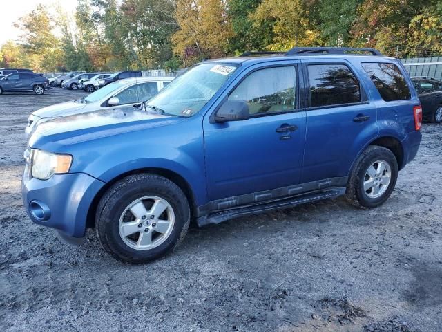 2010 Ford Escape XLT