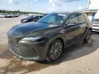 2023 Lexus RX 350 Base