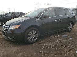 Salvage cars for sale at Elgin, IL auction: 2015 Honda Odyssey EXL