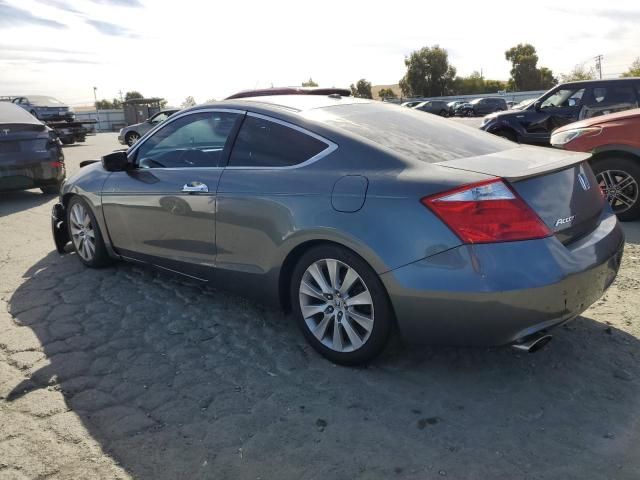 2009 Honda Accord EXL