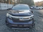 2019 Honda Pilot EX