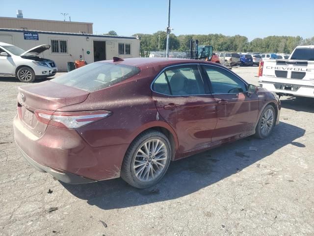 2019 Toyota Camry L