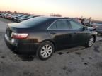 2007 Toyota Camry Hybrid