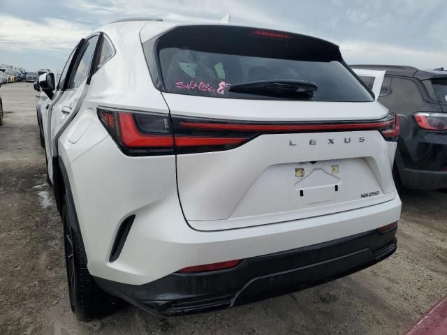 2022 Lexus NX 250