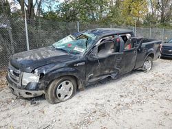 Salvage cars for sale at Cicero, IN auction: 2013 Ford F150 Supercrew