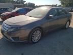 2010 Ford Fusion Hybrid