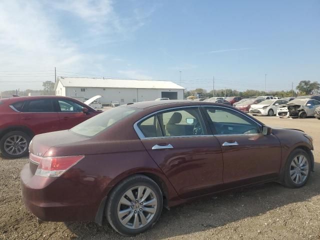 2011 Honda Accord EXL