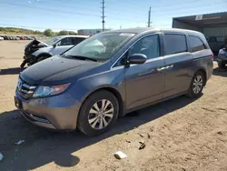 Salvage cars for sale at Colorado Springs, CO auction: 2014 Honda Odyssey EXL