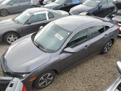 Flood-damaged cars for sale at auction: 2020 Honda Civic LX