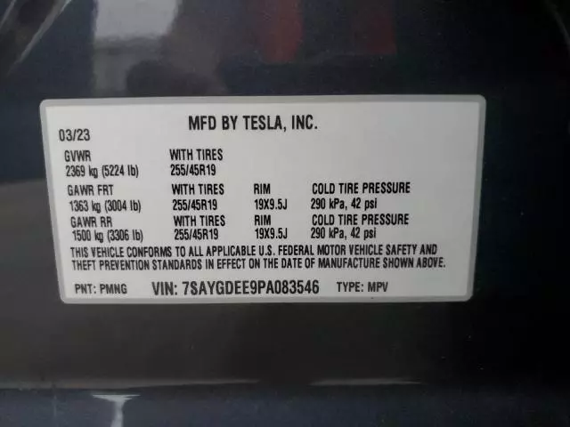 2023 Tesla Model Y