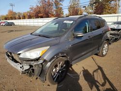 Ford salvage cars for sale: 2013 Ford Escape SEL