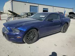 2014 Ford Mustang en venta en Haslet, TX