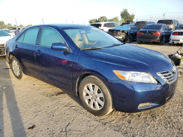 2009 Toyota Camry Hybrid