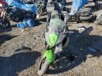 2024 Kawasaki EX650 P