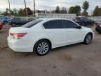 2011 Honda Accord EXL