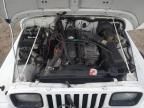 1992 Jeep Wrangler / YJ Islander