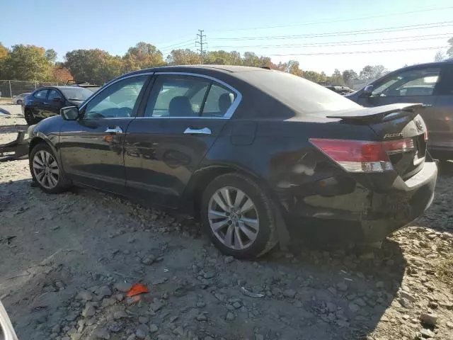 2011 Honda Accord EXL