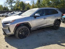 Salvage cars for sale at Waldorf, MD auction: 2023 Toyota Rav4 SE